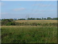 Pylons across the fields