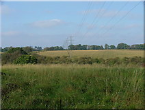 SP8300 : Pylons across the fields by Peter Jemmett