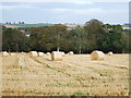 View towards Skene House