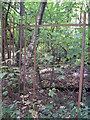 Shaft cap in New Park Wood