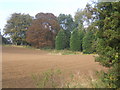 Field near Barham Church Lane