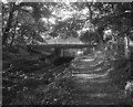 Coxheath Bridge, Basingstoke Canal