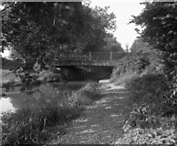 SU7951 : Chequers Bridge, Basingstoke Canal by Dr Neil Clifton