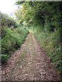 Track leading to Lower Alham Farm