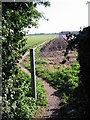 Looking E along footpath, Sholden