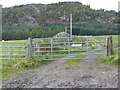 The track to Balnabock