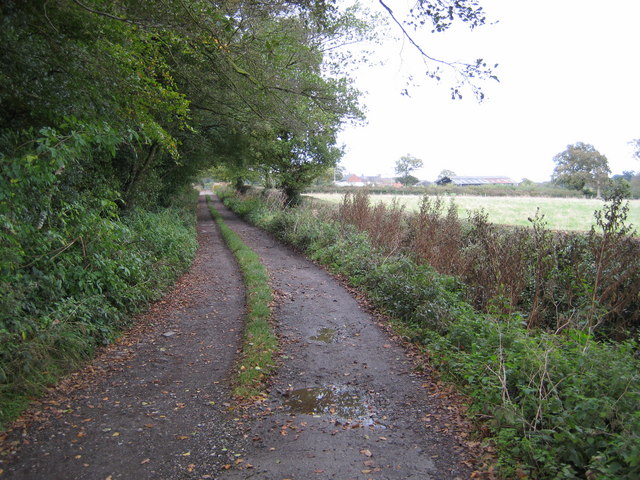 Track To Holly Bank Farm © Peter Fleming Geograph Britain And Ireland