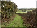 Green lane at The Lane