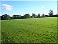 Football Pitch behind the houses on Chartwell Avenue