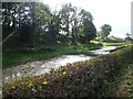 Pond near Bryn-y-cil