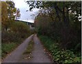 Road from Airlie towards Muir Cottage