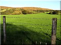 Ballynure Townland