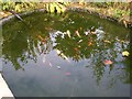 Fish Pond in The Secret Garden, Eden Villa Park, Bachelors Walk, Portadown