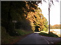 Autumn tunnel