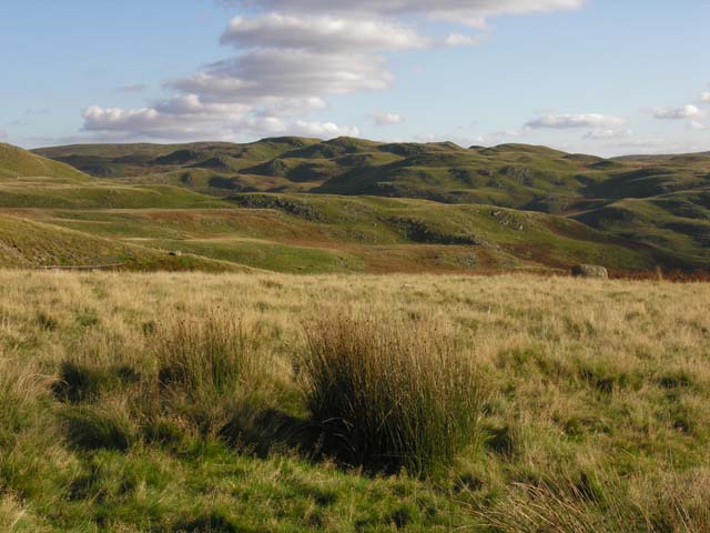 Rough pasture above Tynddol © Nigel Brown :: Geograph Britain and Ireland