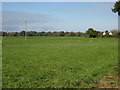 Farmland alongside Lighteach Lane