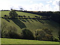 Valley near Drinnick Farm