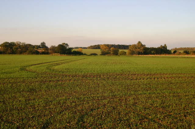 Field North of Duke's Spinney