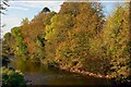 J1486 : Autumn on the Sixmilewater, Antrim by Albert Bridge