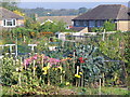 Merrow Allotments