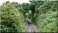 A Cornish Mining Walk