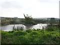 Pond off Knowsley lane