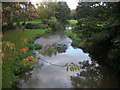 The River Wey at Farnham