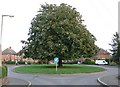 Hillcrest Avenue, Kibworth Harcourt