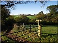 Footpath at Trebursye