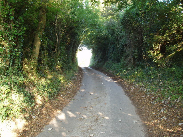 Sunken lane crossing the Burial path near Scowles
