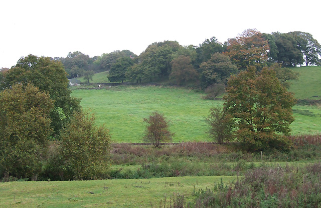 Grazing Land, Denford, Staffordshire