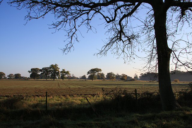 Fields in Little Saxham