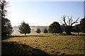 North end of Ickworth Park