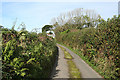 Newton St Petrock: approaching Cannapark