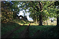 Farm track at High Leas Farm