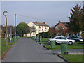 Green bin day on Bancroft Close