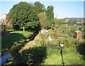 River Bulbourne in Northchurch