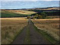 Track above Brownrigg Cottage