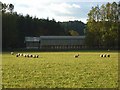 Pasture and barns, Redesdale