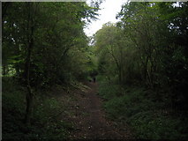SU6587 : Grim's Ditch near Woodlands by Chris Heaton