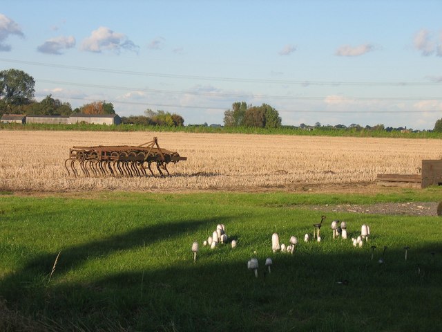 Farmland in Whaplode