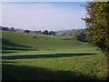 Field beside Slad Lane