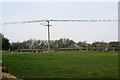 Starlings on the wire