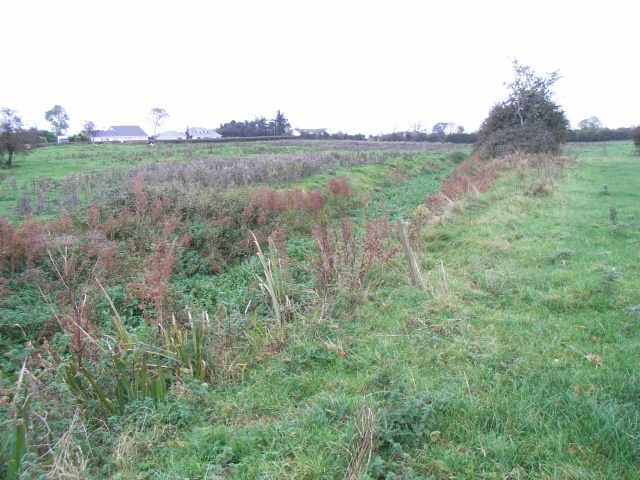 Ditch at Iskaroon, Near Dunderry, Co. Meath