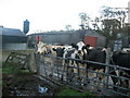 Local residents, Wigglesworth Hall Farm