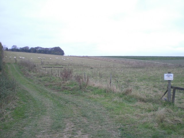 North towards Barn Plantation