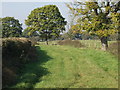 Green lane at Willington Cross