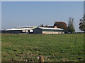 Willington Cross dairy farm