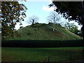 Remains of Waytemore Castle motte