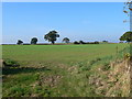 Shropshire farmland